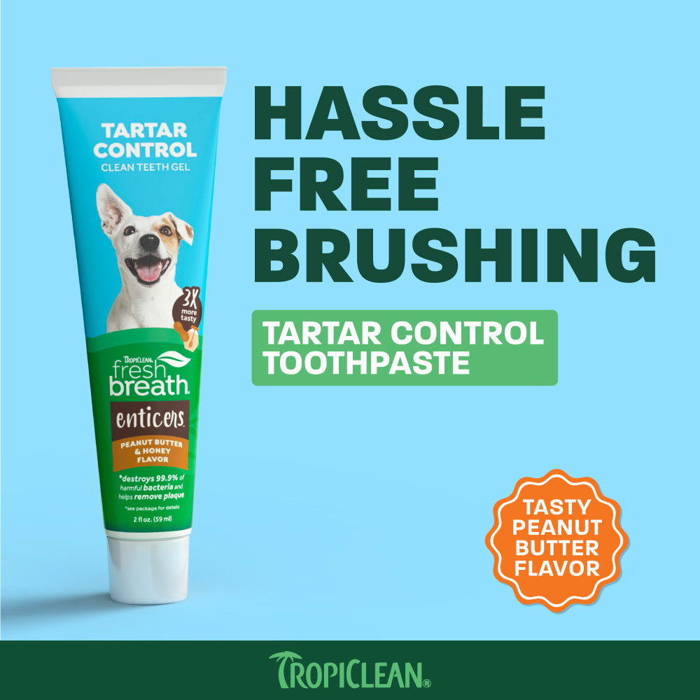 Dog Toothpaste product image 3