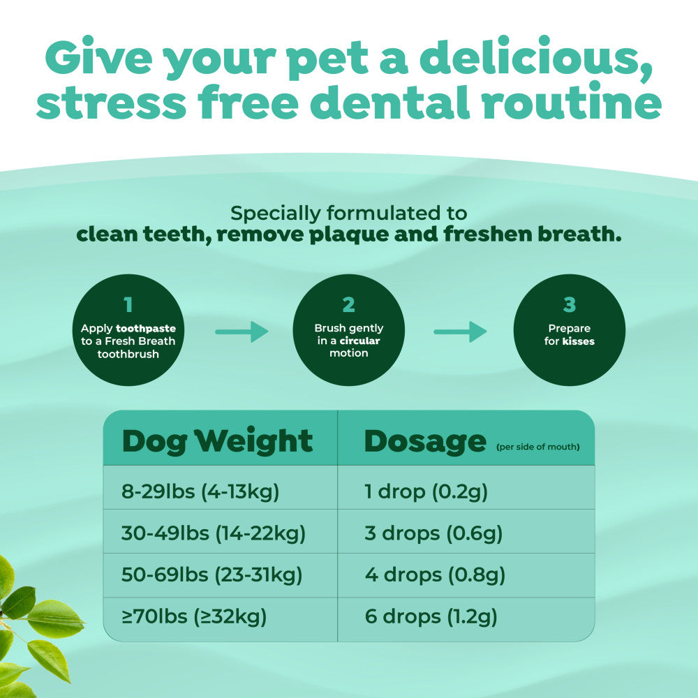 Dog Toothpaste product image 9