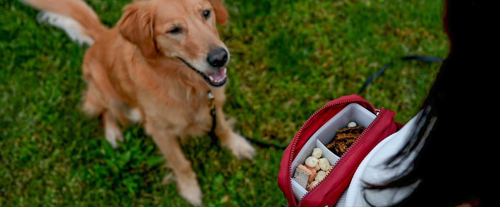 Dog Treat Pouch Insert product image 2