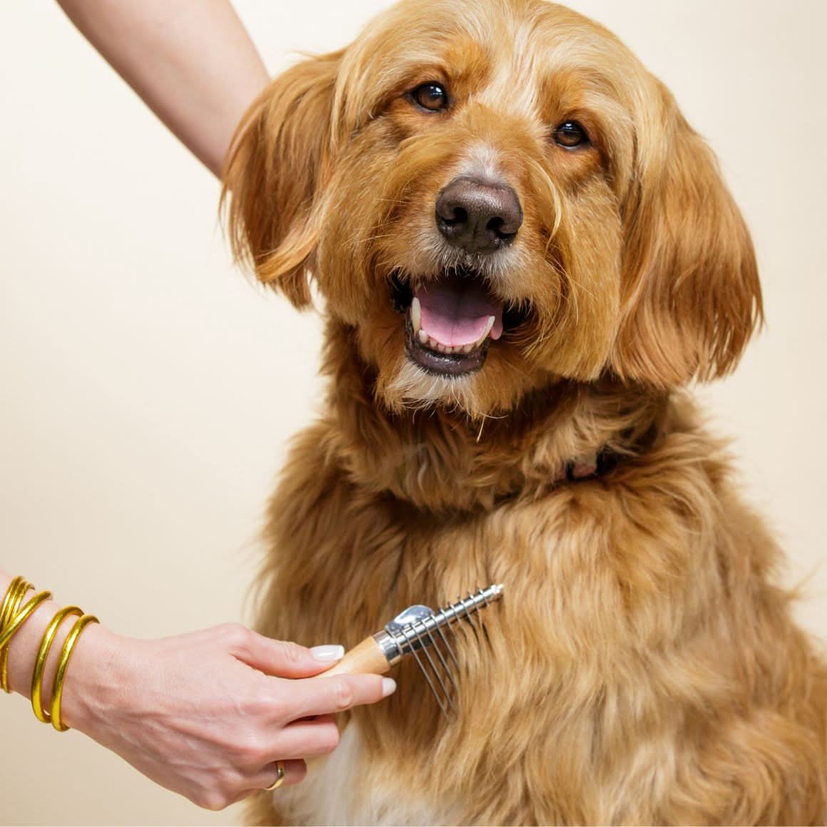 Dog Dematting Rake product image 1