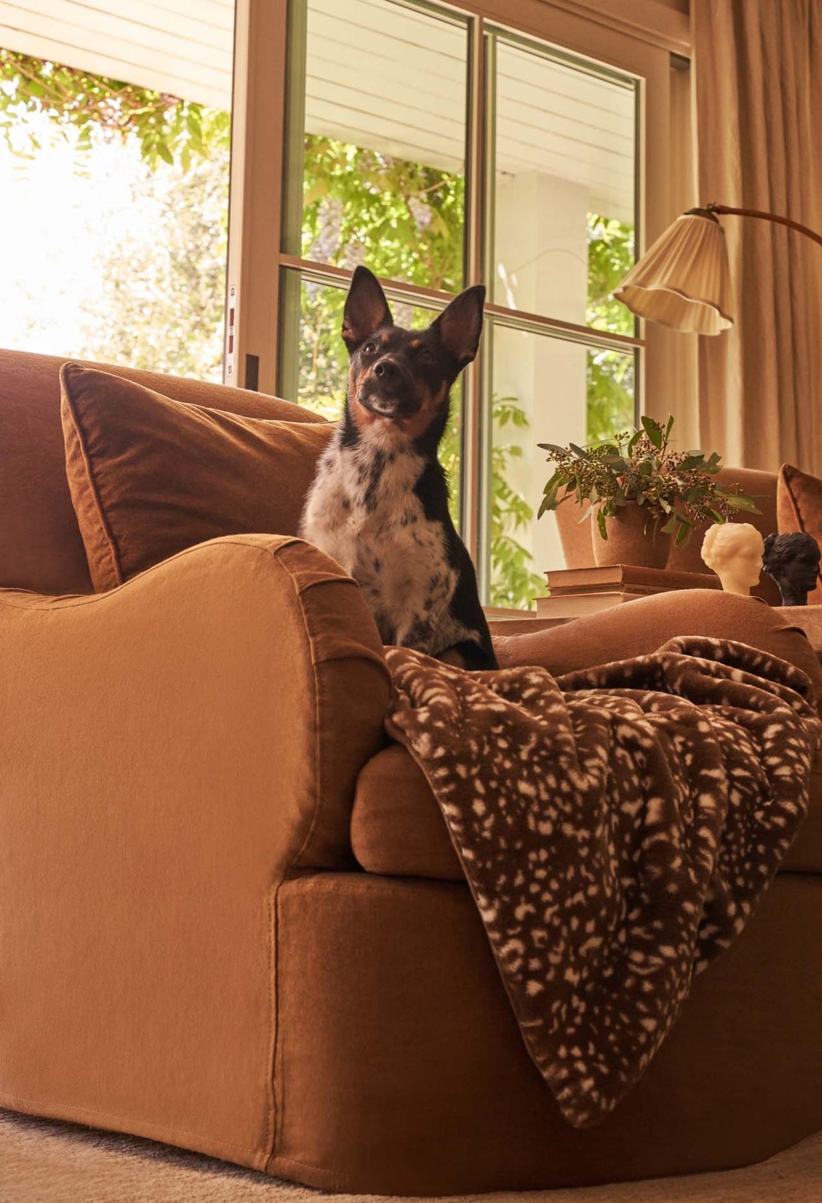 Water-Resistant Pet Blanket product image 53
