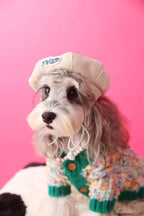 Pet Sweater product image 5