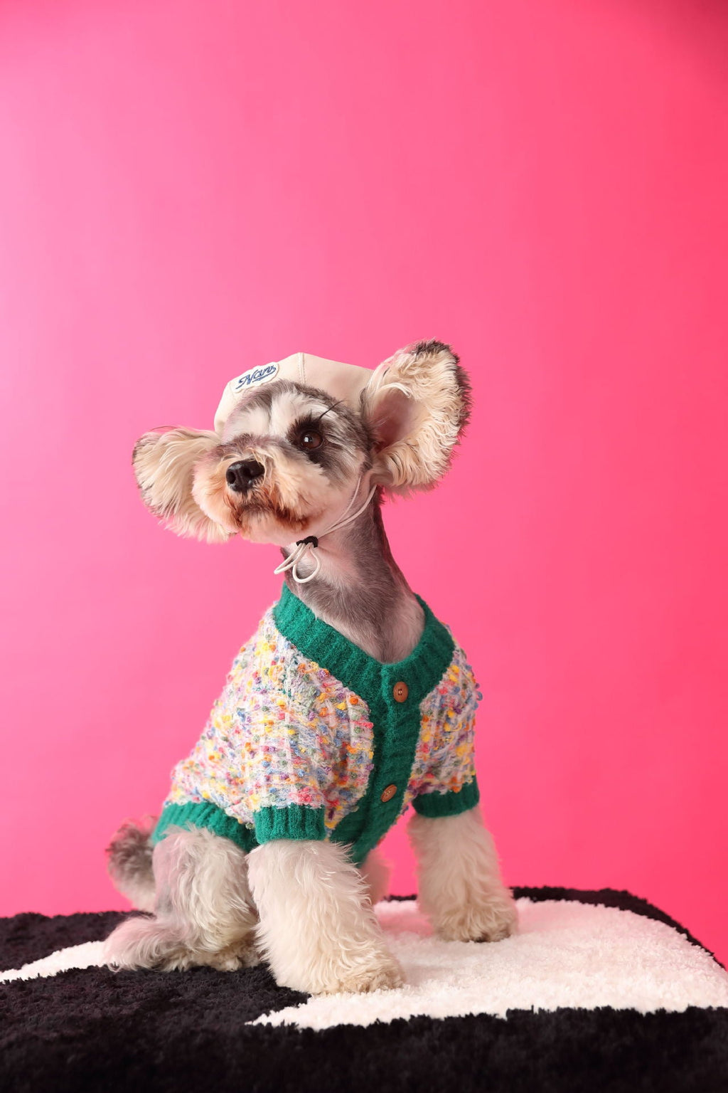 Pet Sweater product image 6