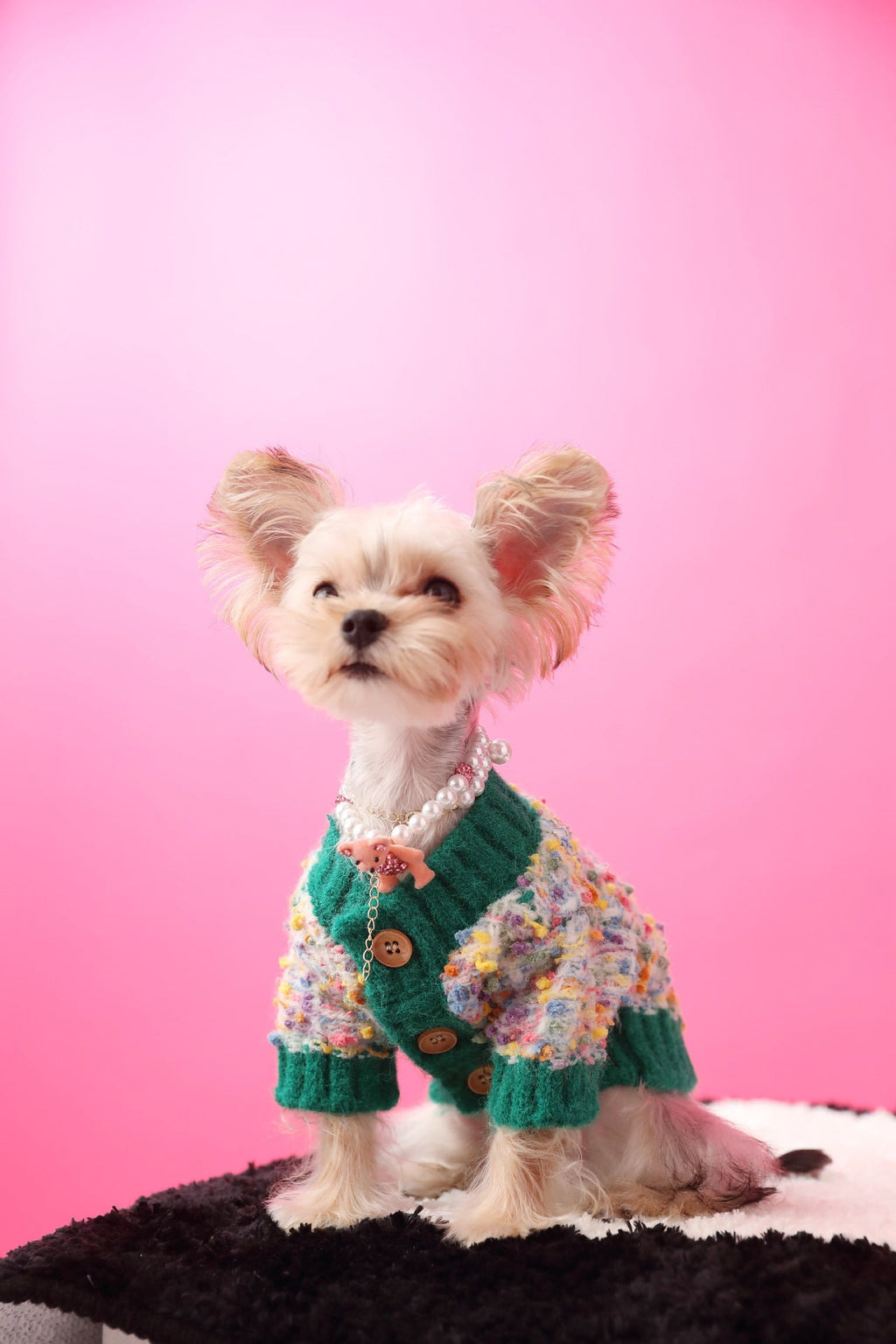 Pet Sweater product image 7