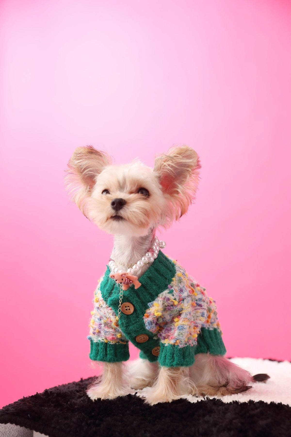Pet Sweater product image 7