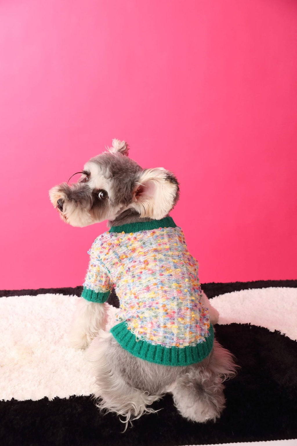 Pet Sweater product image 11