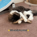 Catnip Pillow Toy product image 1