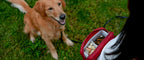 Dog Training Treat Bag product image 7