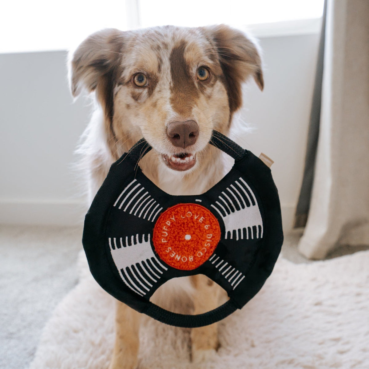Dog Tug Toy product image 7