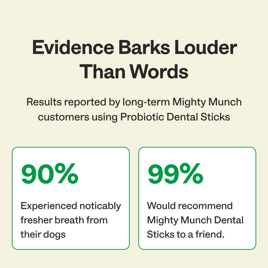 Dental Sticks product image 7