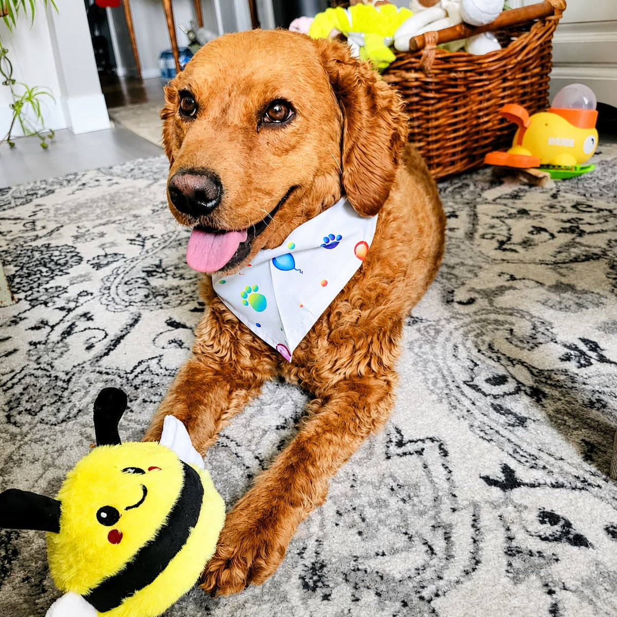 Plush Dog Toy product image 3