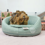Guinea Pig Sofa product image 2