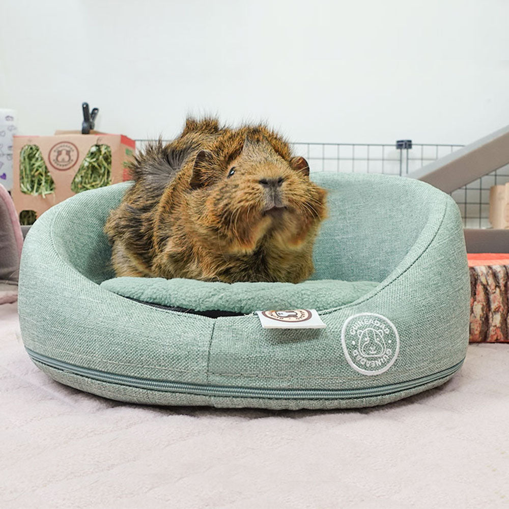 Guinea Pig Sofa product image 2