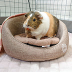 Guinea Pig Sofa product image 9