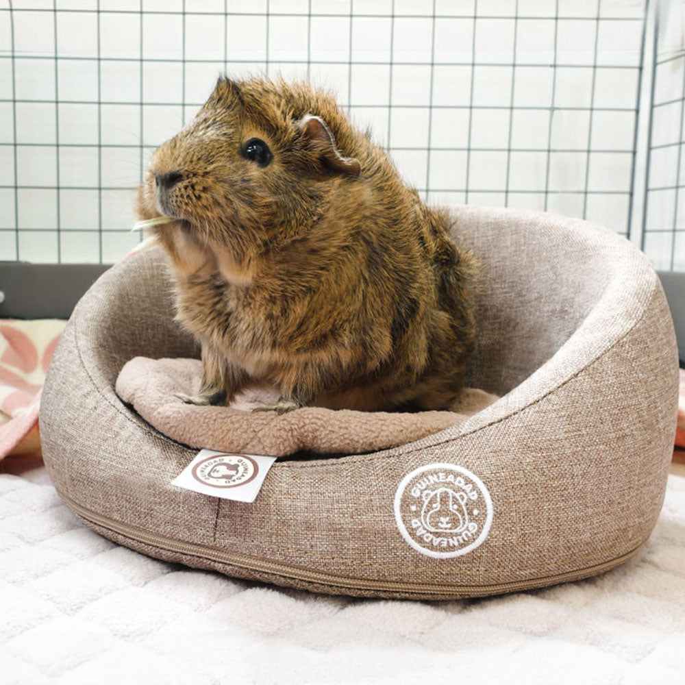 Guinea Pig Sofa product image 10
