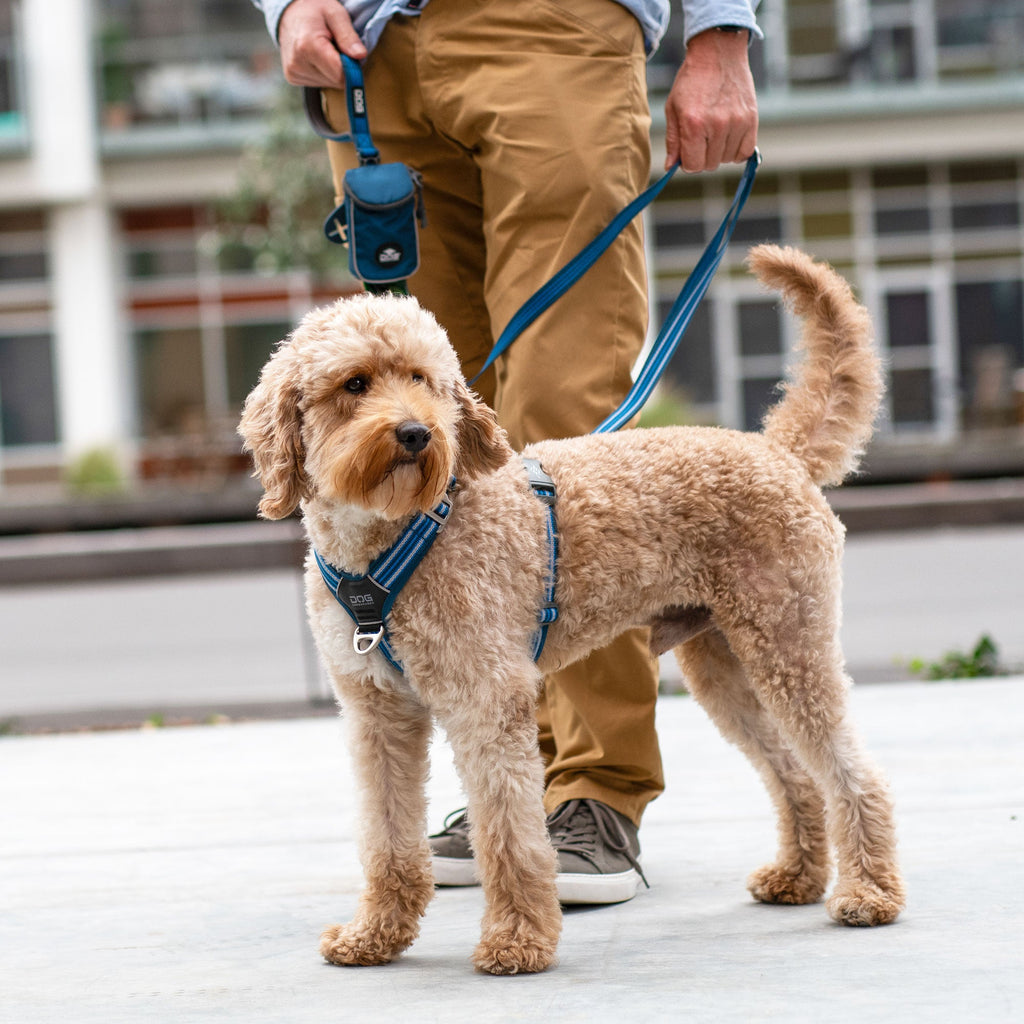 Dog Harness product image 6