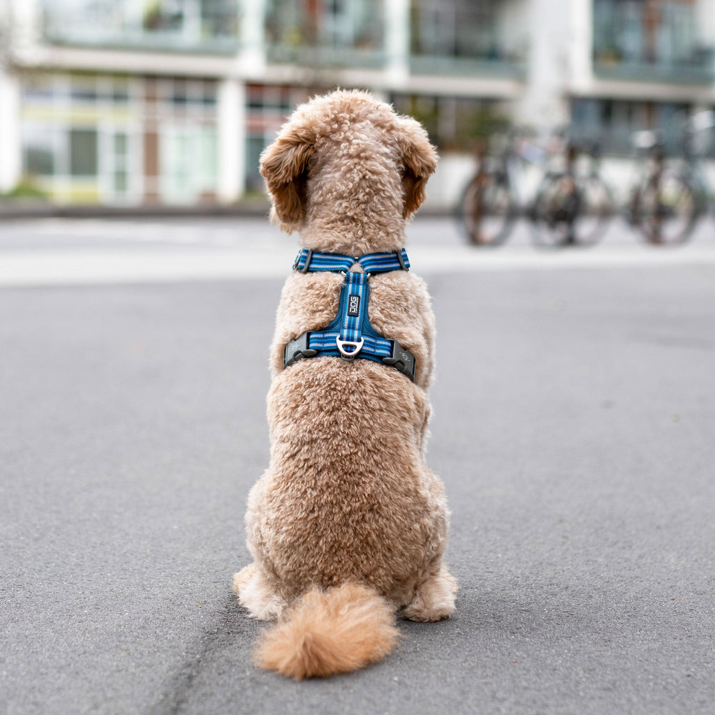 Dog Harness product image 7