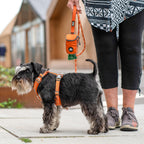 Dog Harness product image 8