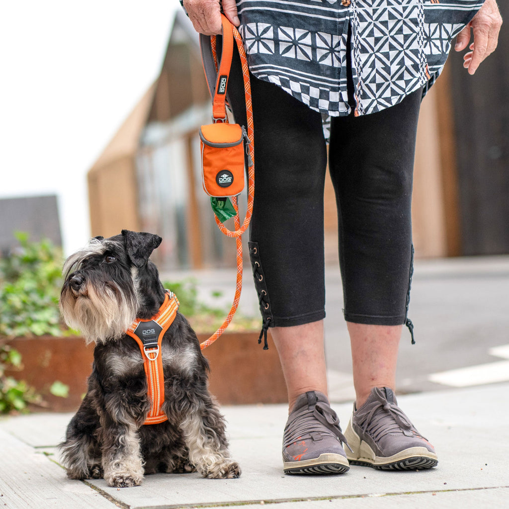 Dog Harness product image 10
