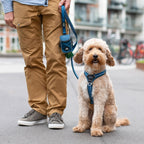 Dog Harness product image 11