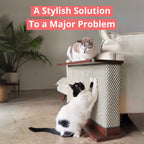 Solid Wood Cat Scratcher Side Table product image 67