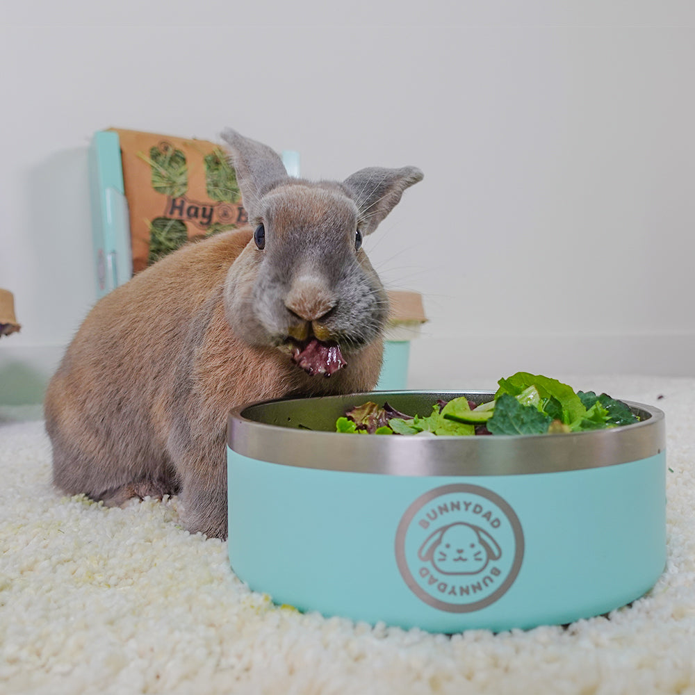 Rabbit Water Bowl product image 3