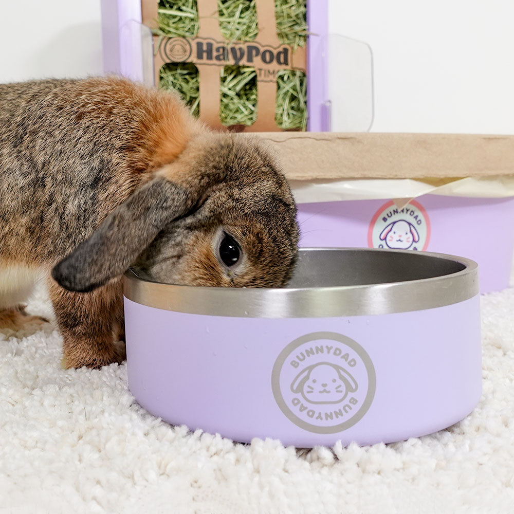 Rabbit Water Bowl product image 7