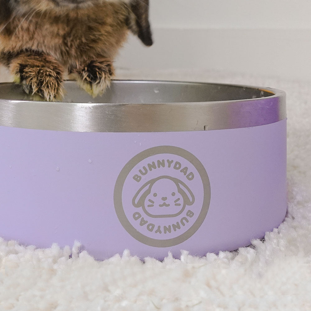Rabbit Water Bowl product image 8