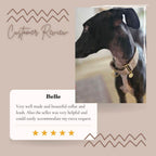 Martingale Collar product image 4