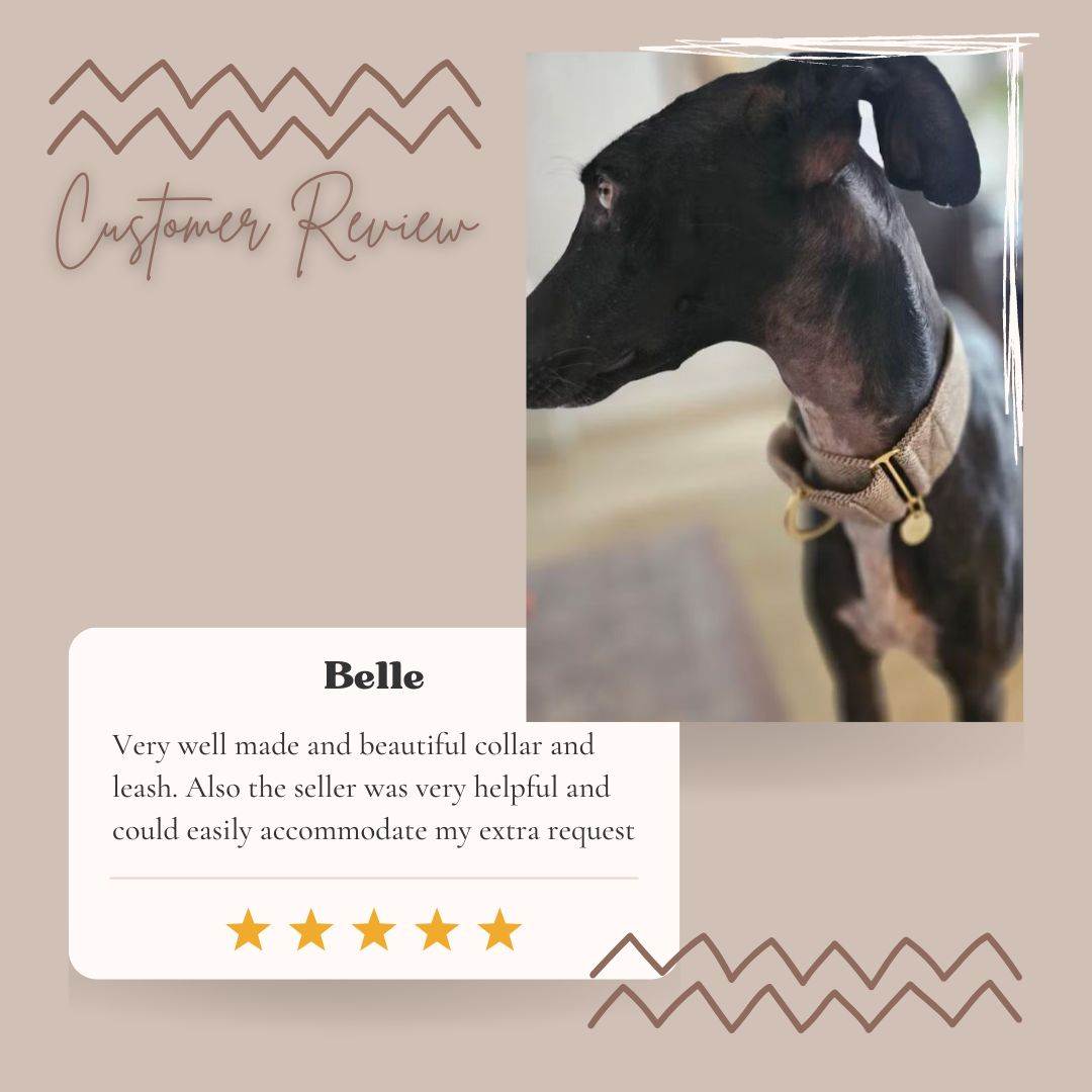 Martingale Collar product image 4