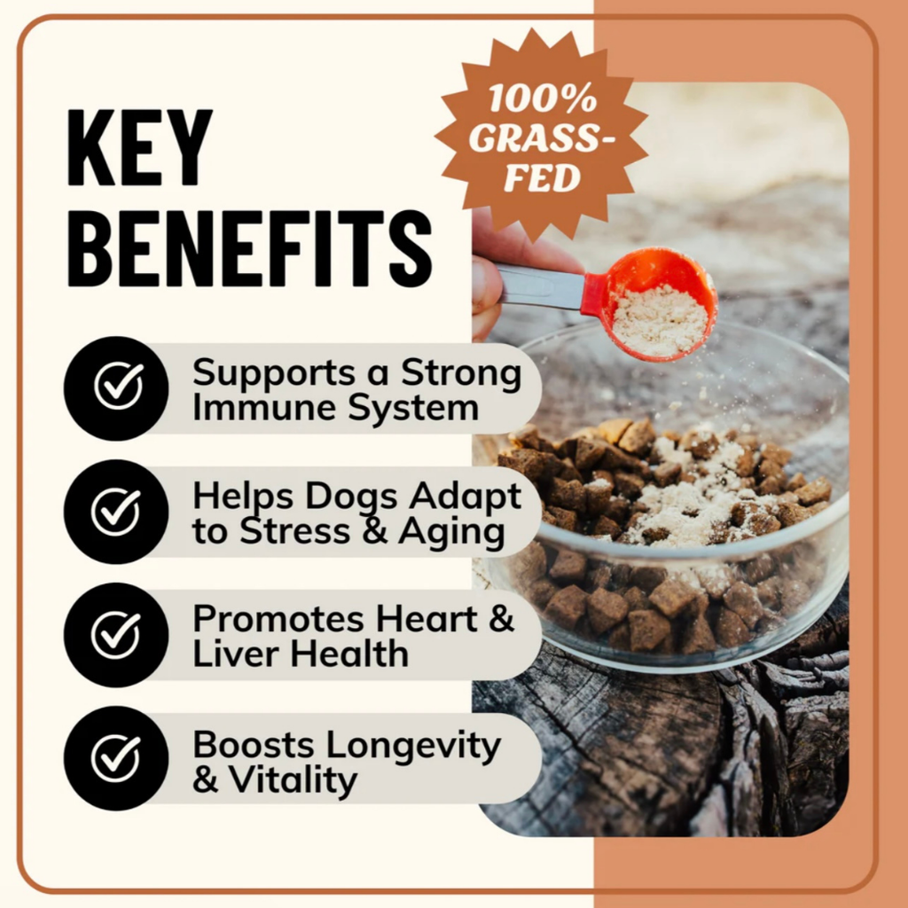 Dog Bone Broth product image 3
