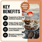 Dog Bone Broth product image 3