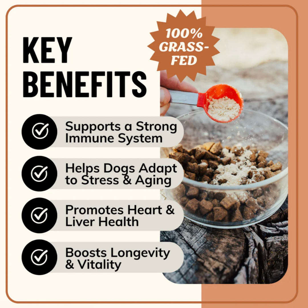 Dog Bone Broth product image 3