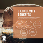 Dog Bone Broth product image 4