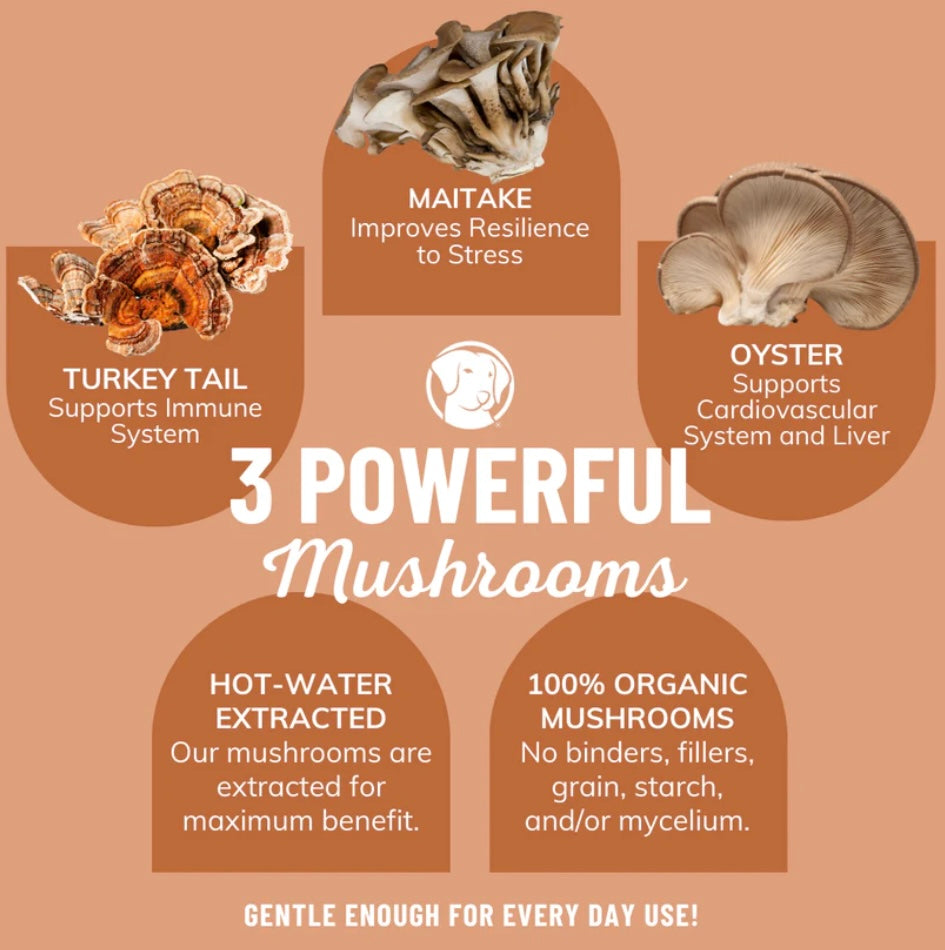 Dog Bone Broth product image 5