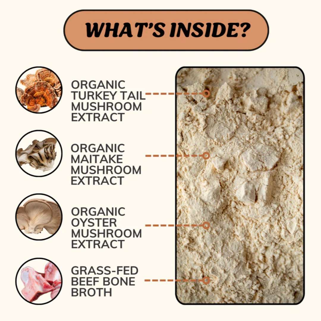 Dog Bone Broth product image 8