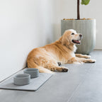 Stone-Base Dog Bowl Set product image 2