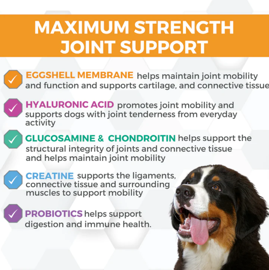 Dog Joint Supplement product image 3