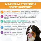 Dog Joint Supplement product image 3