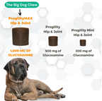 Dog Joint Supplement product image 4