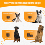 Dog Joint Supplement product image 5