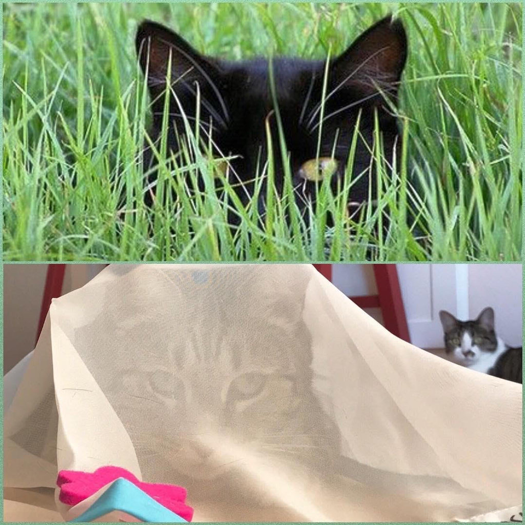 Interactive Cat Toy product image 5