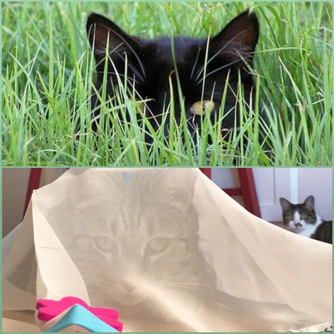 Interactive Cat Toy product image 5