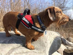 Dog Harness product image 2