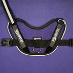 Dog Harness product image 30