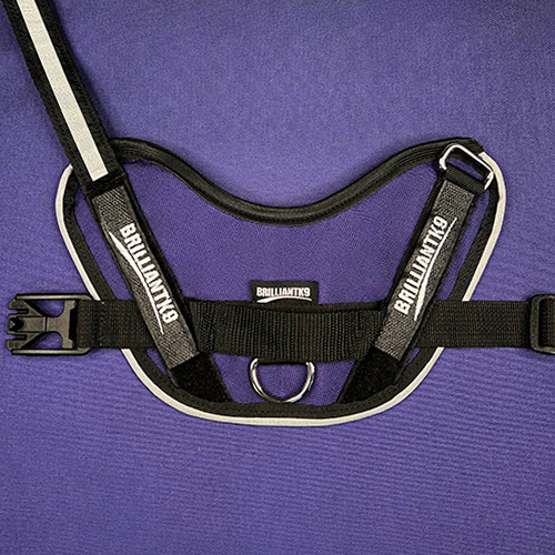 Dog Harness product image 30
