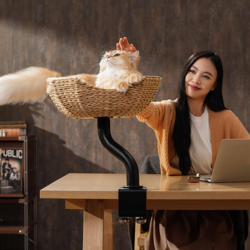 Desk Mounted Cat Tree product image 5