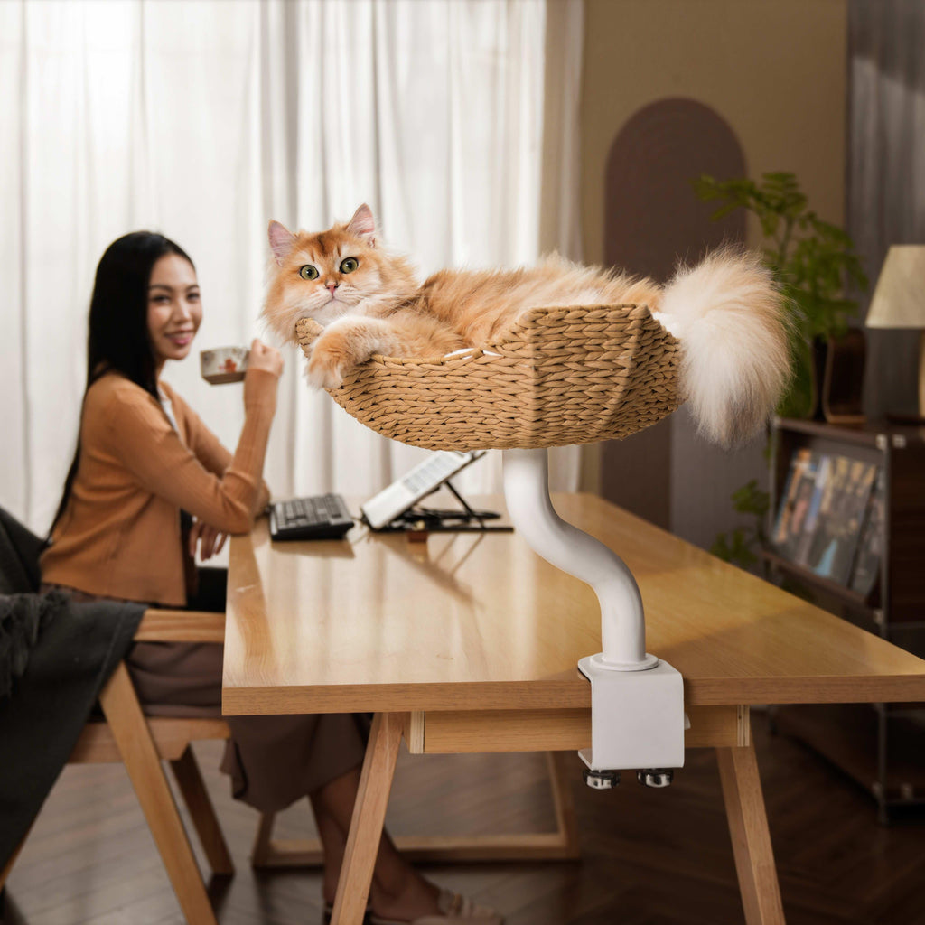 Desk Mounted Cat Tree product image 6