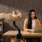 Desk Mounted Cat Tree product image 8
