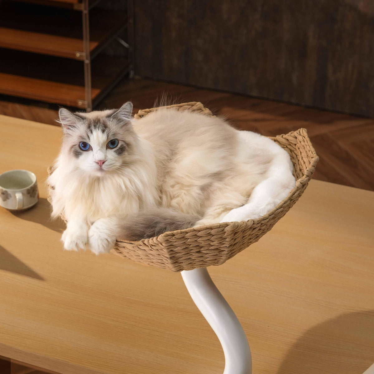 Desk Mounted Cat Tree product image 9